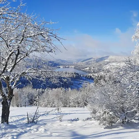 Les Dryades Gerardmer Exterior photo