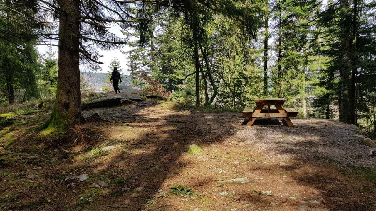 Les Dryades Gerardmer