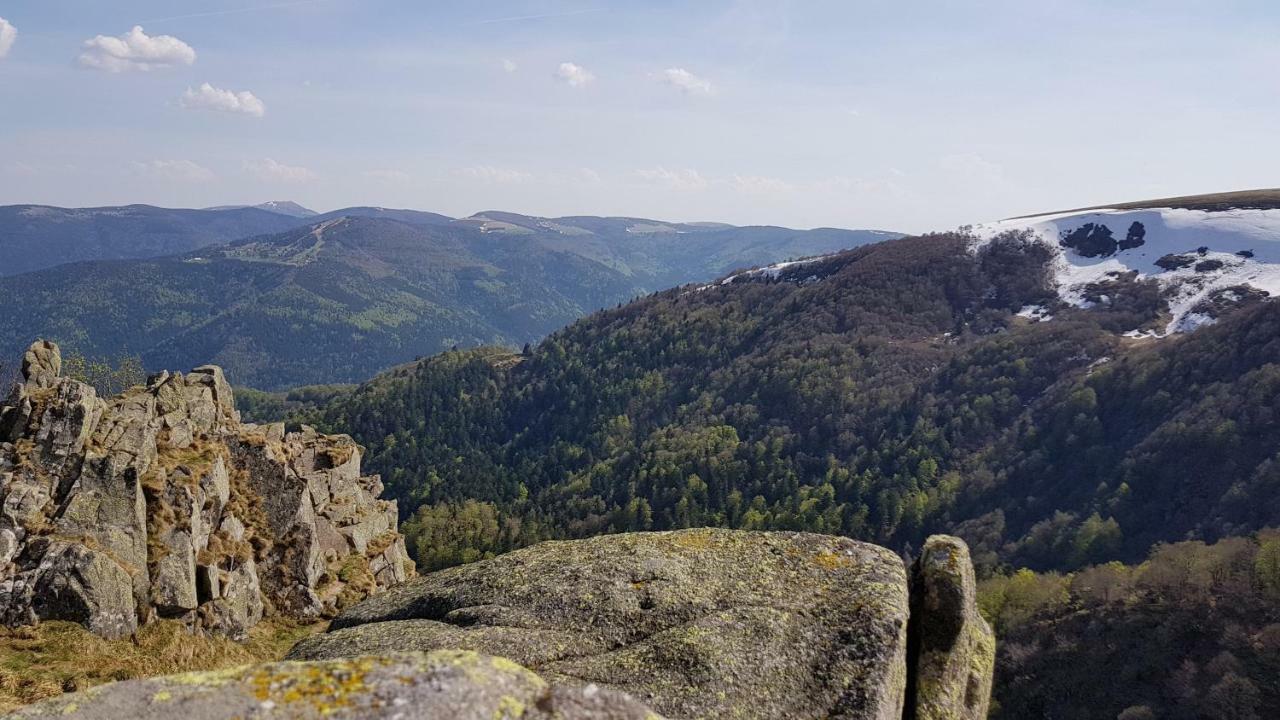 Les Dryades * Gerardmer