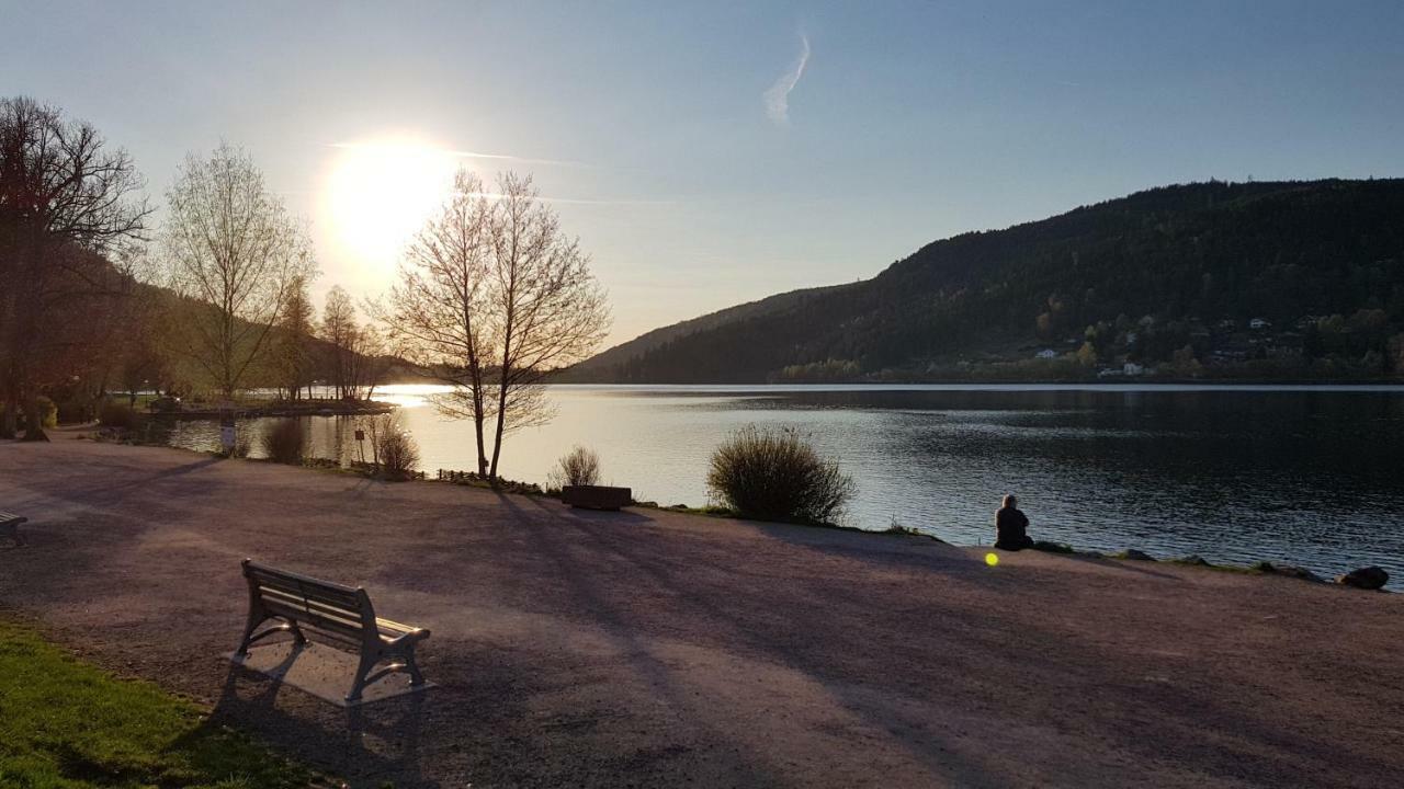 Apartment Les Dryades Gerardmer