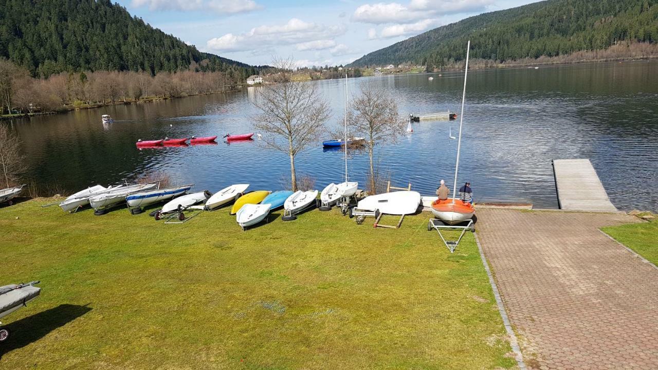 Apartment Les Dryades Gerardmer