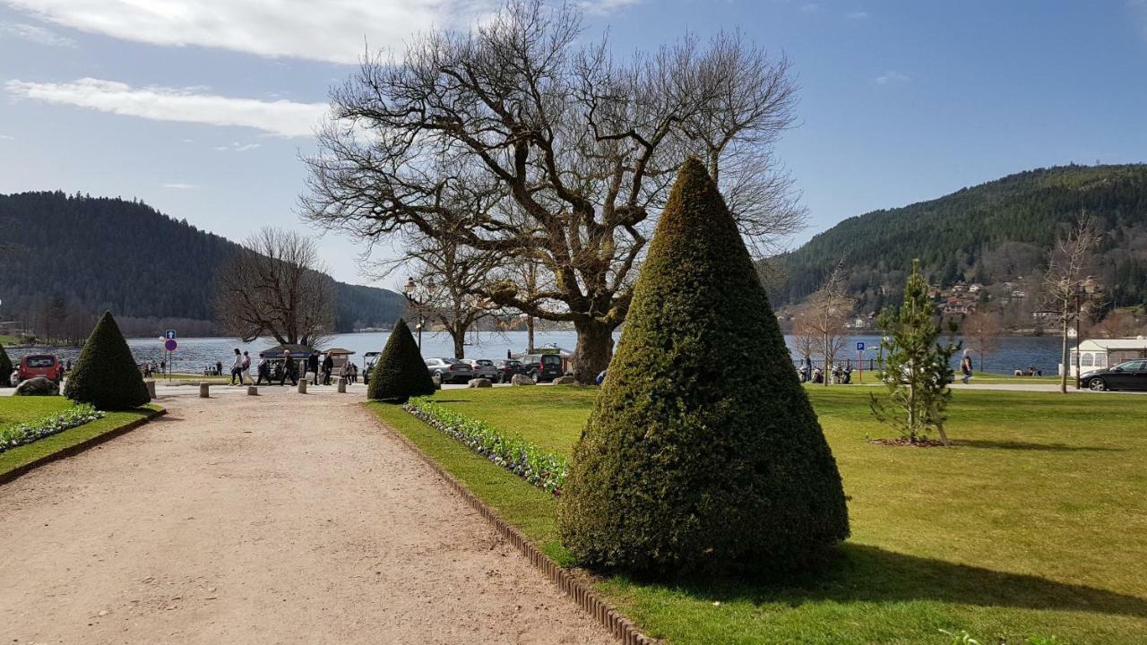 Les Dryades Apartment Gerardmer