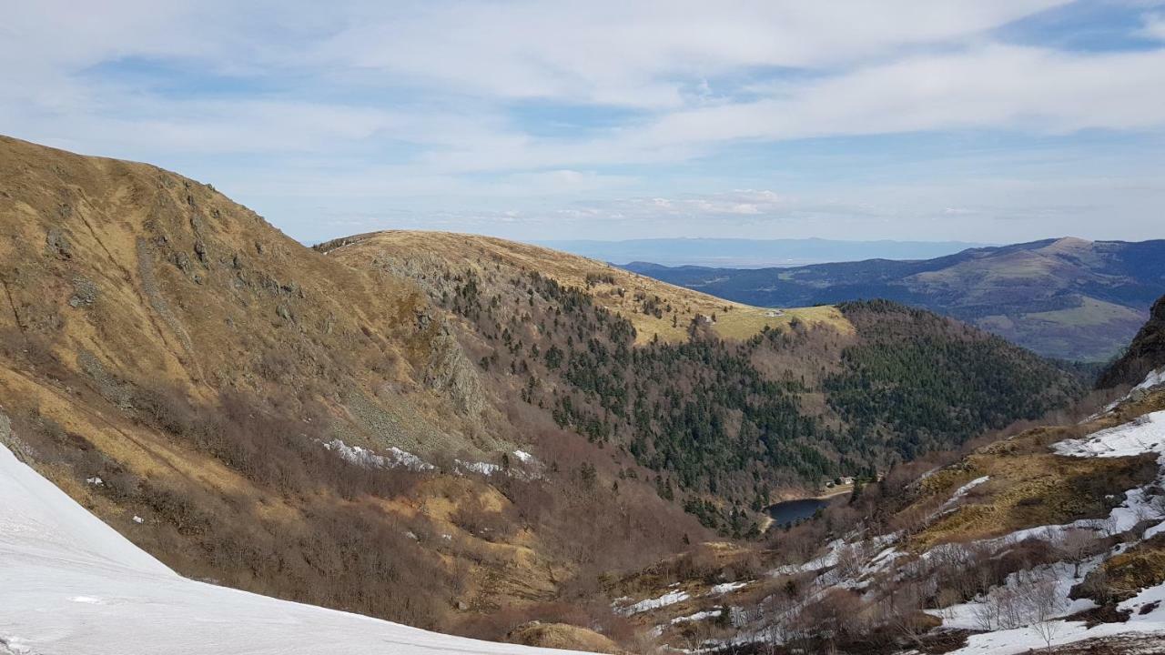 Les Dryades Apartment Gerardmer